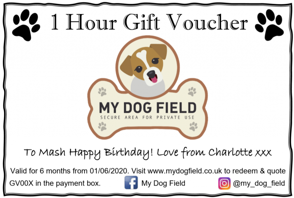 Gift Vouchers My Dog Field